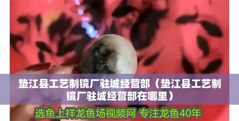 墊江縣工藝制鏡廠駐城經營部（墊江縣工藝制鏡廠駐城經營部在哪里）