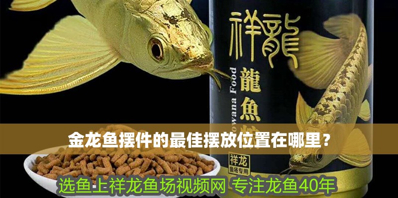 金龍魚擺件的最佳擺放位置在哪里？