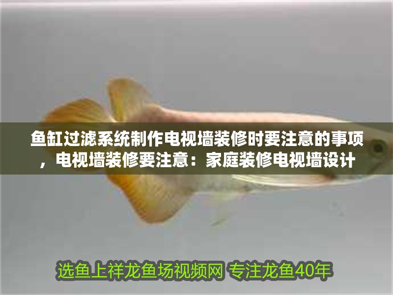 魚缸過濾系統制作電視墻裝修時要注意的事項，電視墻裝修要注意：家庭裝修電視墻設計