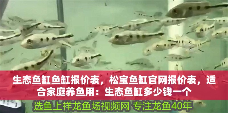 生態魚缸魚缸報價表，松寶魚缸官網報價表，適合家庭養魚用：生態魚缸多少錢一個