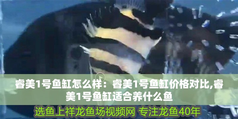 睿美1號魚缸怎么樣：睿美1號魚缸價格對比,睿美1號魚缸適合養什么魚