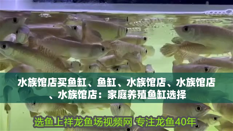 水族館店買魚缸、魚缸、水族館店、水族館店、水族館店：家庭養(yǎng)殖魚缸選擇