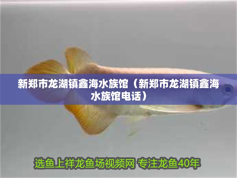 新鄭市龍湖鎮鑫海水族館（新鄭市龍湖鎮鑫海水族館電話）