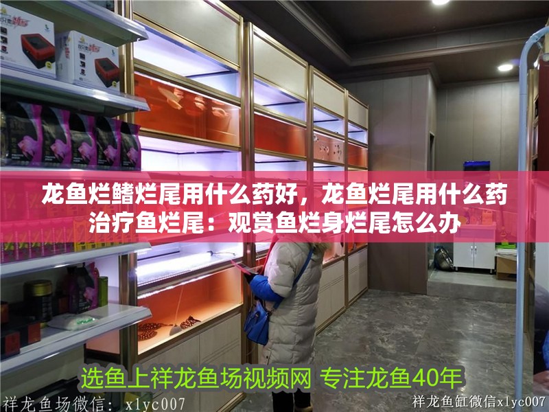 龍魚爛鰭爛尾用什么藥好，龍魚爛尾用什么藥治療魚爛尾：觀賞魚爛身爛尾怎么辦