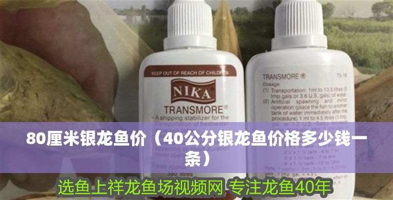 80厘米銀龍魚價(jià)（40公分銀龍魚價(jià)格多少錢一條）