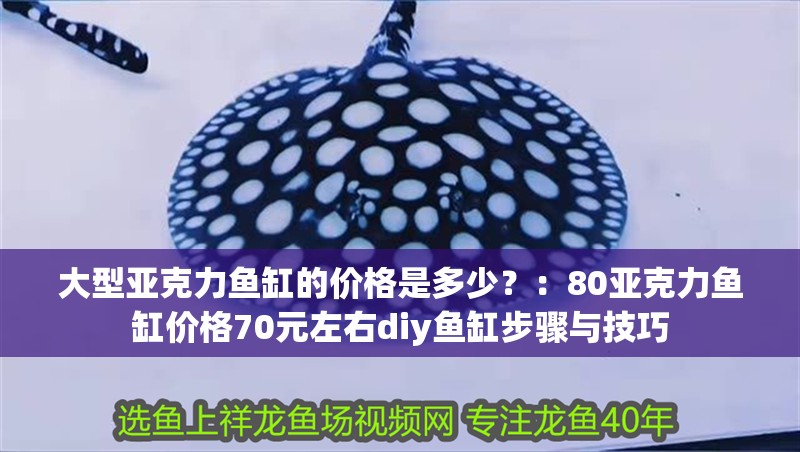 大型亞克力魚缸的價格是多少？：80亞克力魚缸價格70元左右diy魚缸步驟與技巧