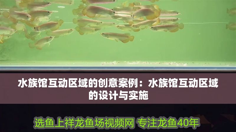 水族館互動區域的創意案例：水族館互動區域的設計與實施