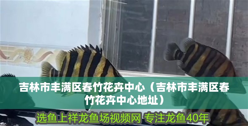 <strong><mark>吉林</mark></strong>市豐滿區春竹花卉中心（<strong><mark>吉林</mark></strong>市豐滿區春竹花卉中心地址）