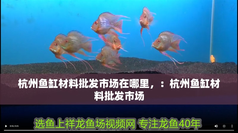 杭州魚缸材料批發市場在哪里，：杭州魚缸材料批發市場