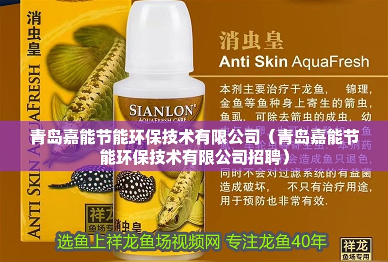 青島嘉能節能環保技術有限公司（青島嘉能節能環保技術有限公司招聘）