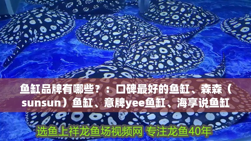 魚缸品牌有哪些？：口碑最好的魚缸、森森（sunsun）魚缸、意牌yee魚缸、海享說魚缸