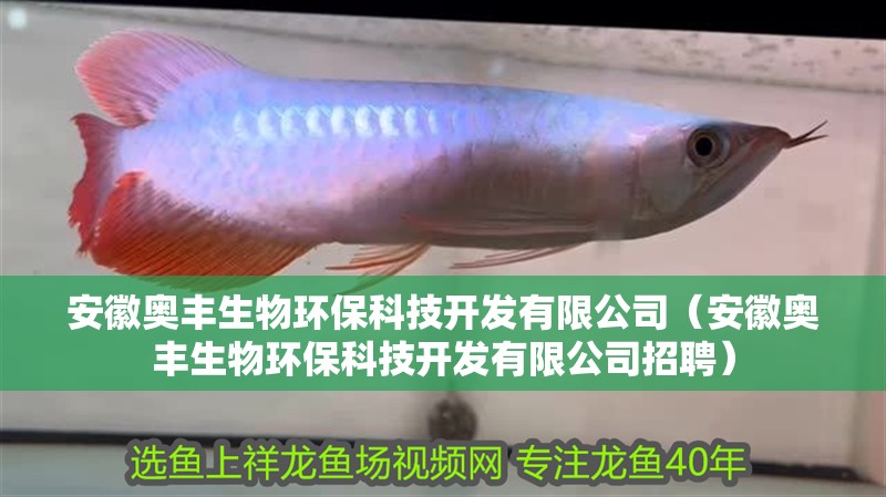 安徽奧豐生物環(huán)保科技開發(fā)有限公司（安徽奧豐生物環(huán)保科技開發(fā)有限公司招聘） 安徽奧豐生物環(huán)保科技開發(fā)有限公司（安徽奧豐生物環(huán)保科技開發(fā)有限公司招聘） 全國水族館企業(yè)名錄