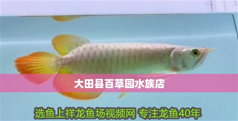 大田縣百草園水族店 大田縣百草園水族店 全國水族館企業名錄