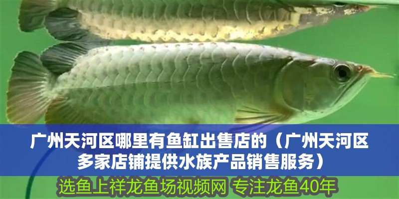 廣州天河區哪里有魚缸出售店的（廣州天河區多家店鋪提供水族產品銷售服務） 廣州天河區哪里有魚缸出售店的（廣州天河區多家店鋪提供水族產品銷售服務） 魚缸百科