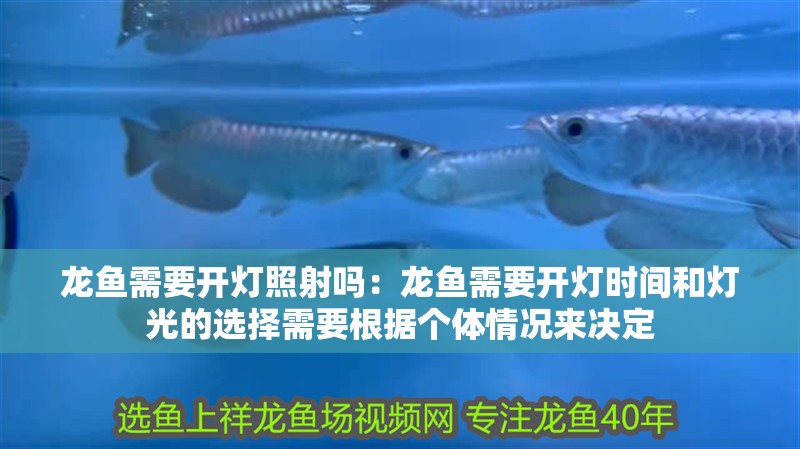 龍魚需要開燈照射嗎：龍魚需要開燈時間和燈光的選擇需要根據個體情況來決定