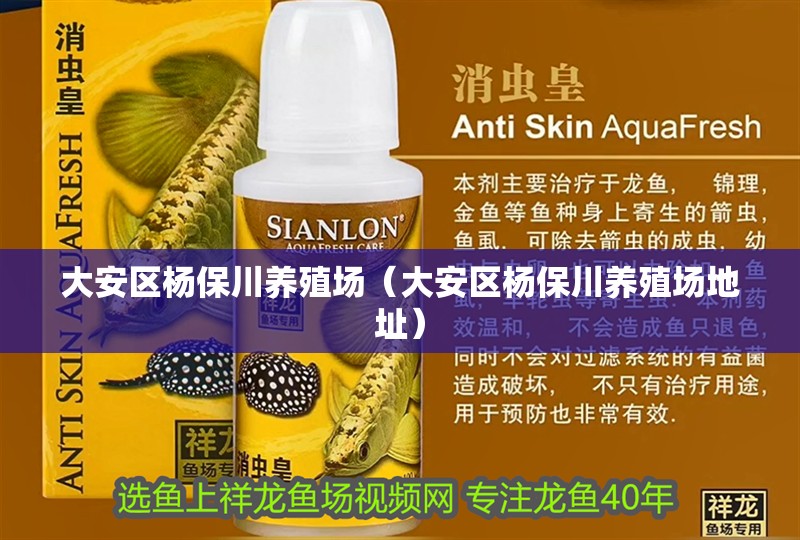 大安區楊保川養殖場（大安區楊保川養殖場地址）