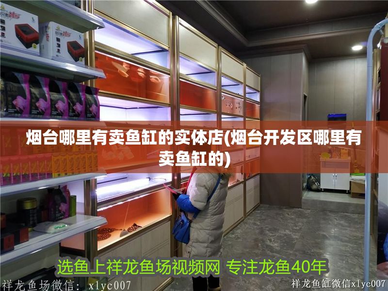 煙臺哪里有賣魚缸的實體店(煙臺開發區哪里有賣魚缸的)