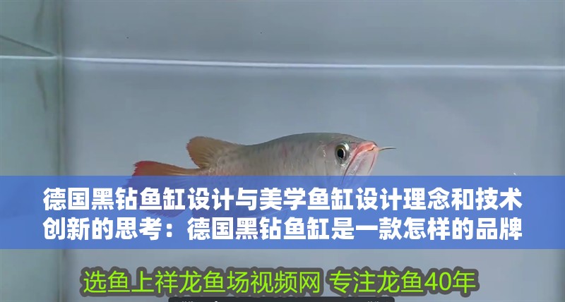 德國黑鉆魚缸設計與美學魚缸設計理念和技術創新的思考：德國黑鉆魚缸是一款怎樣的品牌？ 德國黑鉆魚缸設計與美學魚缸設計理念和技術創新的思考：德國黑鉆魚缸是一款怎樣的品牌？ 魚缸百科