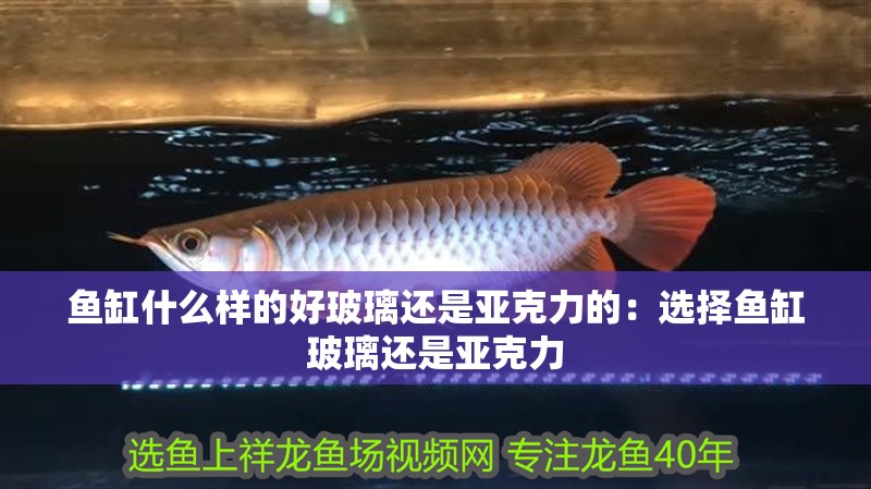 魚缸什么樣的好玻璃還是亞克力的：選擇魚缸玻璃還是亞克力