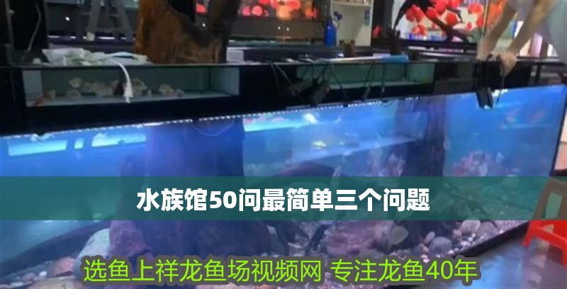 水族館50問最簡單三個問題