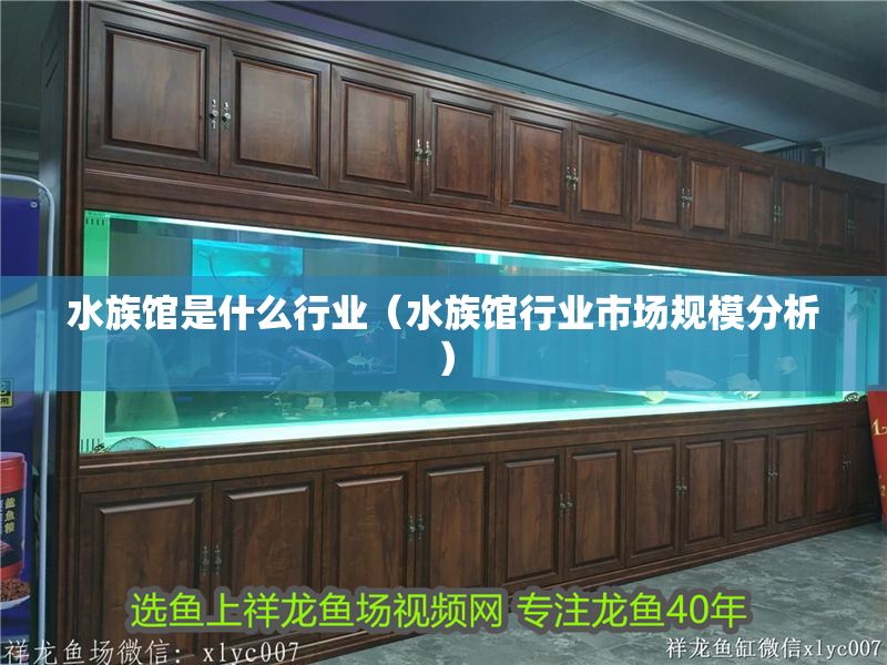 水族館是什么行業（水族館行業市場規模分析） 水族館是什么行業（水族館行業市場規模分析） 水族館百科（水族館加盟） 第1張