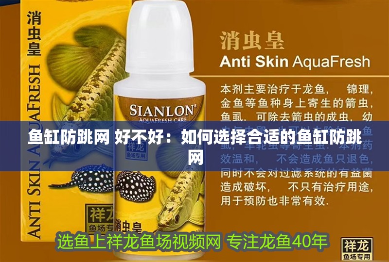 魚缸防跳網 好不好：如何選擇合適的魚缸防跳網 魚缸防跳網 好不好：如何選擇合適的魚缸防跳網 魚缸百科