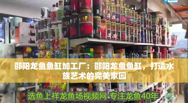 邵陽龍魚魚缸加工廠：邵陽龍魚魚缸，打造水族藝術(shù)的完美家園