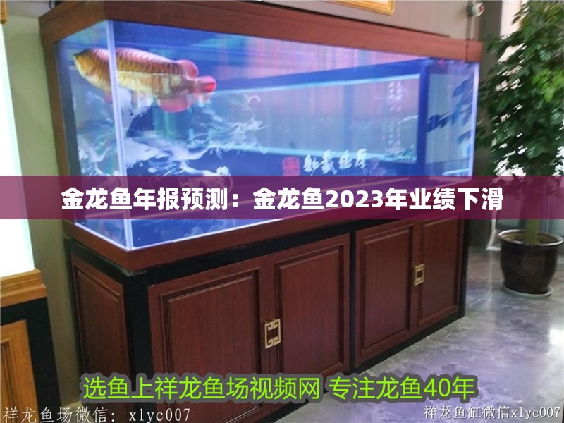 金龍魚年報預測：金龍魚2023年業績下滑 金龍魚年報預測：金龍魚2023年業績下滑 龍魚百科