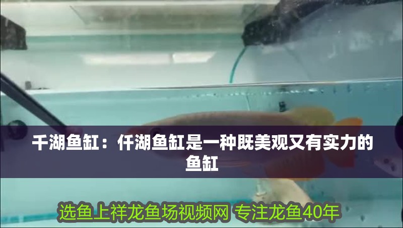 千湖魚缸：仟湖魚缸是一種既美觀又有實力的魚缸 千湖魚缸：仟湖魚缸是一種既美觀又有實力的魚缸 魚缸百科