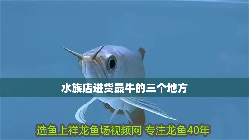 魚缸用增氧泵價格是多少:魚缸增氧機-xtrac增氧機-xtrac增氧機 水族店進貨最牛的三個地方 龍魚論壇 水族店進貨最牛的三個地方 水族店進貨最牛的三個地方 龍魚論壇