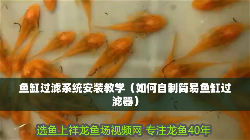 魚缸過濾系統安裝教學（如何自制簡易魚缸過濾器）