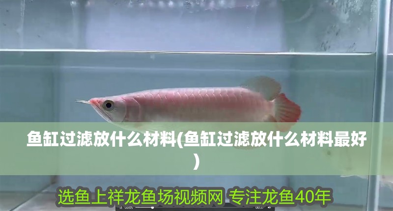 魚缸用增氧泵價格是多少:魚缸增氧機-xtrac增氧機-xtrac增氧機 魚缸過濾放什么材料(魚缸過濾放什么材料最好) 銀龍魚百科 魚缸過濾放什么材料(魚缸過濾放什么材料最好) 魚缸過濾放什么材料(魚缸過濾放什么材料最好) 銀龍魚百科