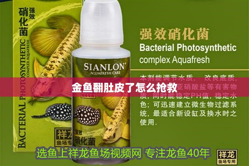 金魚翻肚皮了怎么搶救