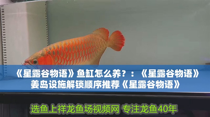 紅龍魚用黃燈烤有用嗎 《星露谷物語》魚缸怎么養?:《星露谷物語》姜島設施解鎖順序推薦《星露谷物語》 魚缸百科 《星露谷物語》魚缸怎么養?:《星露谷物語》姜島設施解鎖順序推薦《星露谷物語》 《星露谷物語》魚缸怎么養?:《星露谷物語》姜島設施解鎖順序推薦《星露谷物語》 魚缸百科