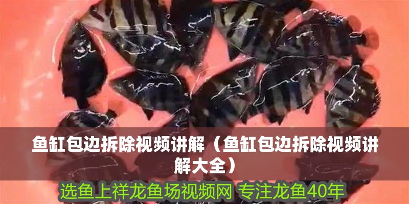魚缸包邊拆除視頻講解（魚缸包邊拆除視頻講解大全）