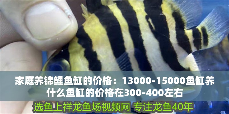家庭養錦鯉魚缸的價格：13000-15000魚缸養什么魚缸的價格在300-400左右