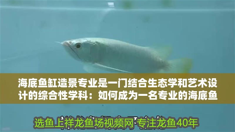 海底魚缸造景專業是一門結合生態學和藝術設計的綜合性學科：如何成為一名專業的海底魚缸造景師
