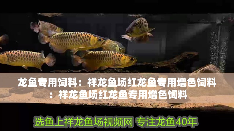 龍魚專用飼料：祥龍魚場紅龍魚專用增色飼料：祥龍魚場紅龍魚專用增色飼料