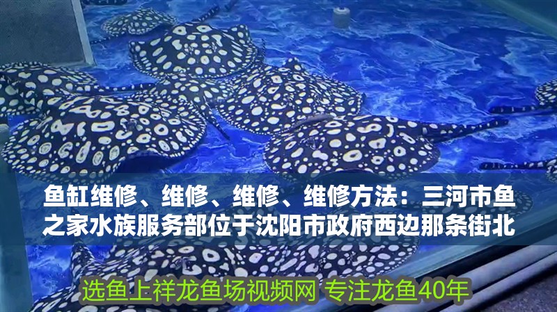 魚缸維修、維修、維修、維修方法：三河市魚之家水族服務(wù)部位于沈陽(yáng)市政府西邊那條街北京上門修魚缸