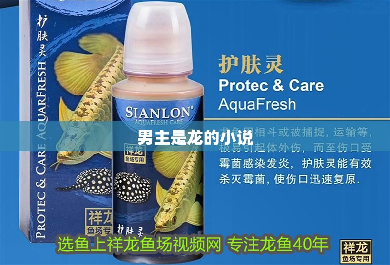 男主是龍的小說