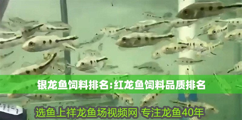 銀龍魚飼料排名:紅龍魚飼料品質排名