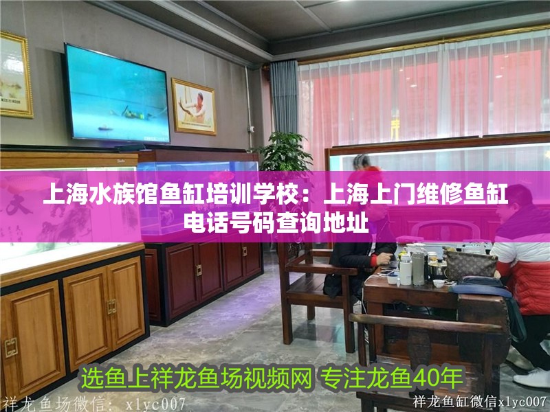 上海水族館魚缸培訓學校：上海上門維修魚缸電話號碼查詢地址