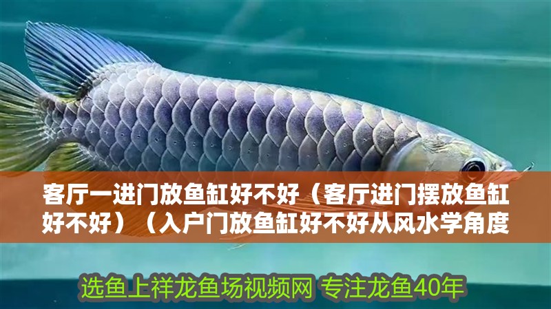 客廳一進門放魚缸好不好（客廳進門擺放魚缸好不好）（入戶門放魚缸好不好從風水學角度來說）