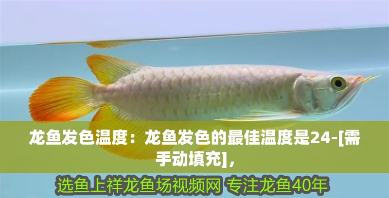 龍魚發色溫度：龍魚發色的最佳溫度是24-[需手動填充]，