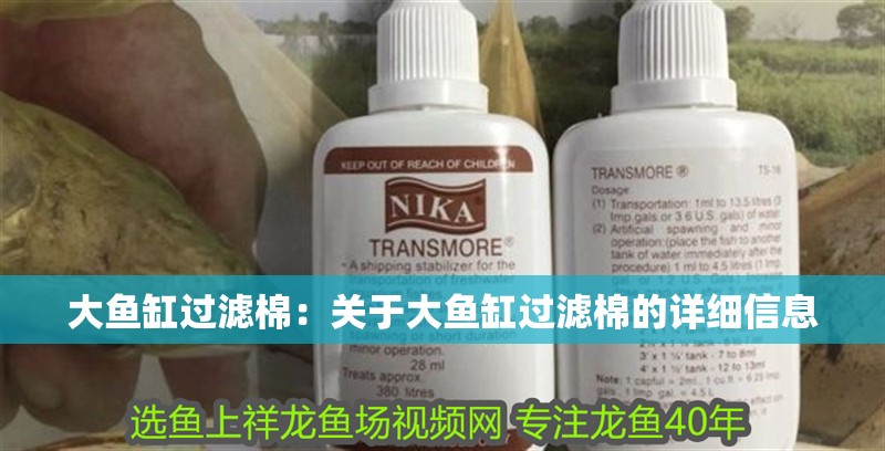 大魚缸過濾棉：關于大魚缸過濾棉的詳細信息