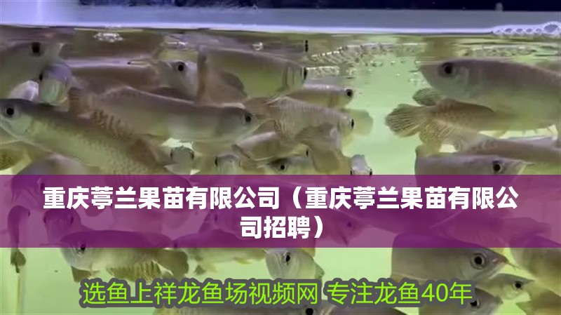 重慶葶蘭果苗有限公司（重慶葶蘭果苗有限公司招聘） 重慶葶蘭果苗有限公司（重慶葶蘭果苗有限公司招聘） 全國水族館企業名錄