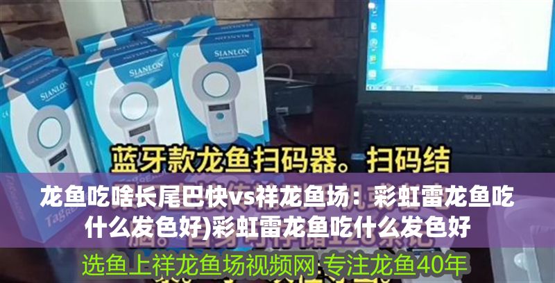 龍魚吃啥長尾巴快vs祥龍魚場：彩虹雷龍魚吃什么發色好)彩虹雷龍魚吃什么發色好