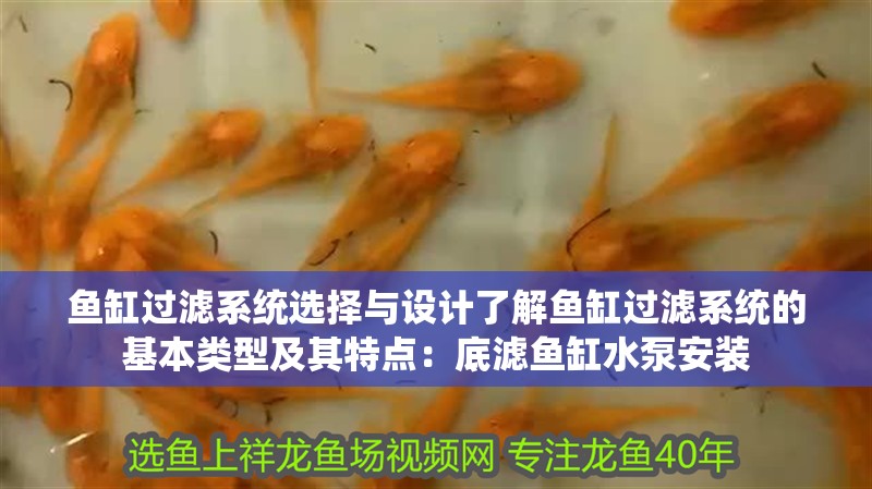 魚缸過濾系統(tǒng)選擇與設(shè)計(jì)了解魚缸過濾系統(tǒng)的基本類型及其特點(diǎn)：底濾魚缸水泵安裝