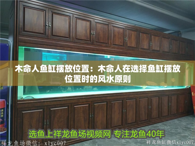 木命人魚缸擺放位置：木命人在選擇魚缸擺放位置時的風水原則