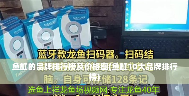 魚缸的品牌排行榜及價格圖(魚缸10大品牌排行榜)